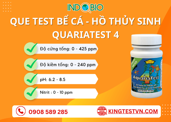 Que test que test AquariaTest 4